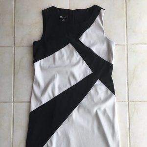 Ladies Sheath Dress